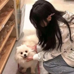 王者荣耀鸿蒙系统版下载